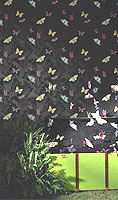 Englische Tapeten Tapeten Design schwarz mit Schmetterlingen von Osborne und Little Muster 30 Lombardia 2009